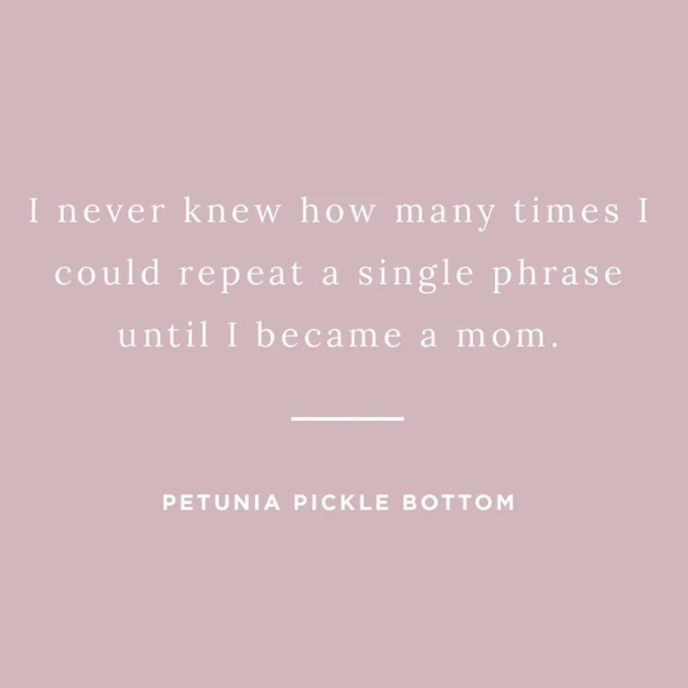Petunia Pickle Bottom Baby Bag